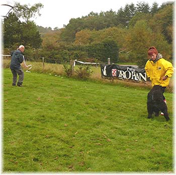 Elevage du CLOS DE LA LUETTE - COPYRIGHT DEPOSE